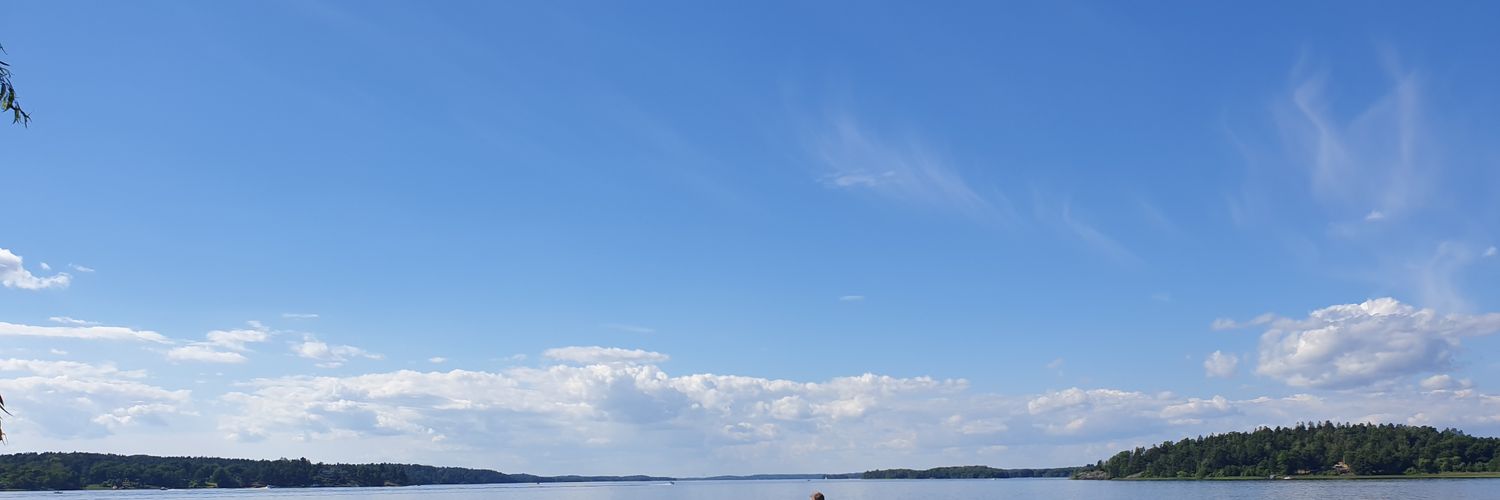 Dr Stoner banner