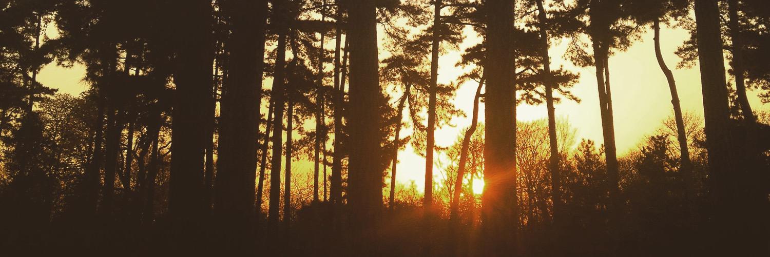 marcostrullu's profile banner image