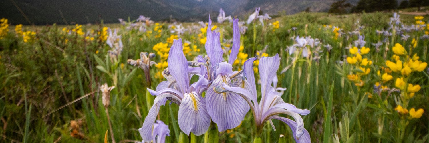 RockyNPS's profile banner image
