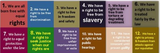 Matthew Sereda banner