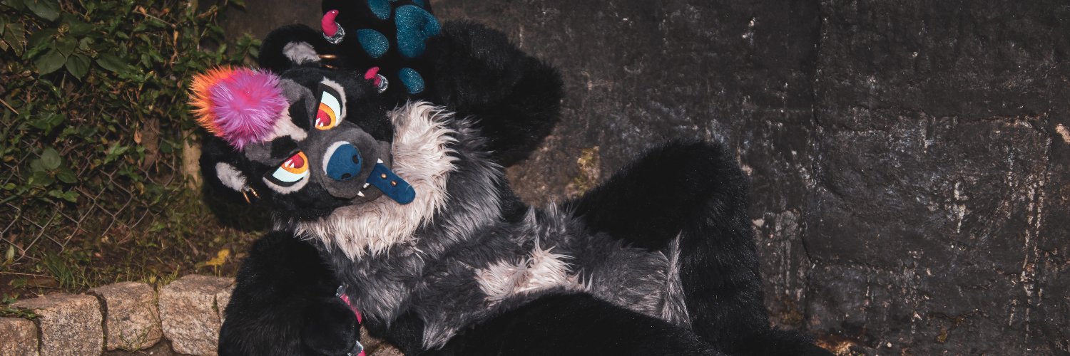 Paciulo's banner