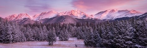 Saratonin banner