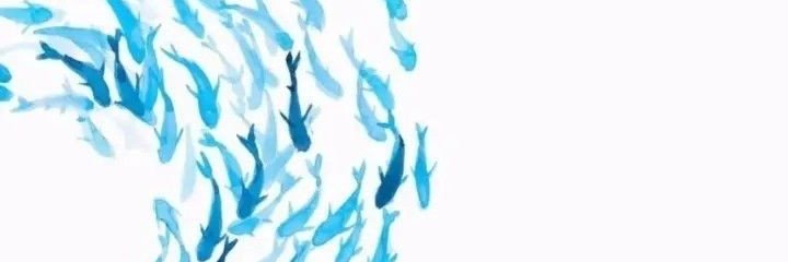 MaraIvess's profile banner image