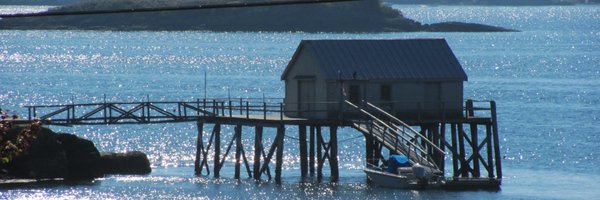 Imissbarack1 Profile Banner