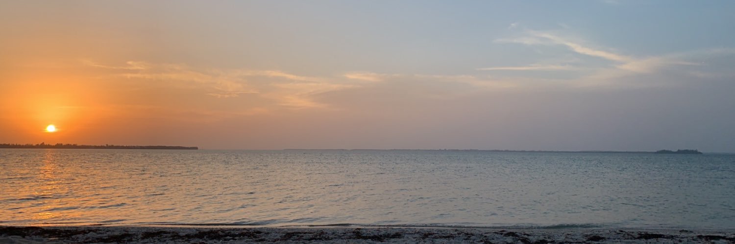 Corene Moeller banner