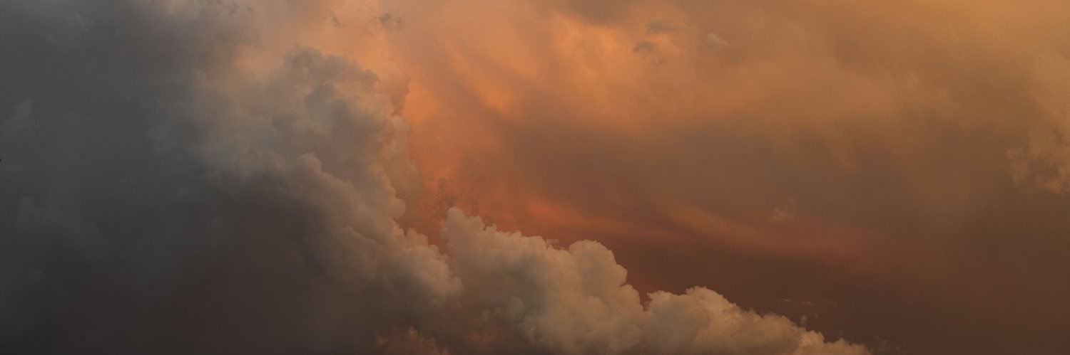 josh banner