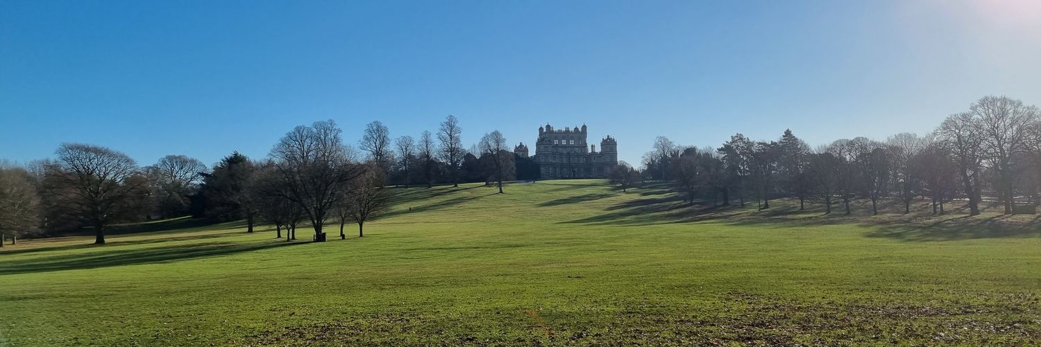 Louis Morgan-Ray banner