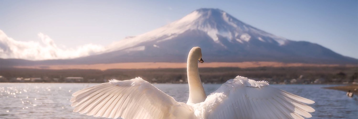 nutazz's profile banner image
