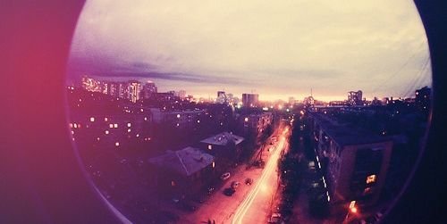 _whiterosess's profile banner image