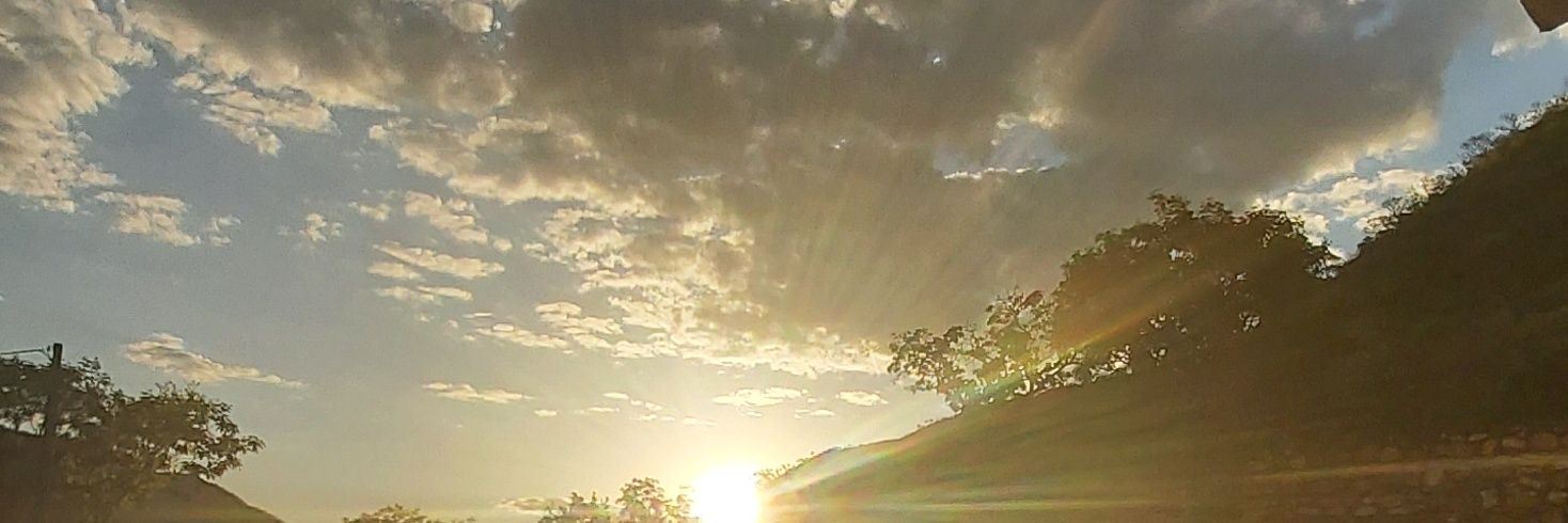 leohelfer's profile banner image