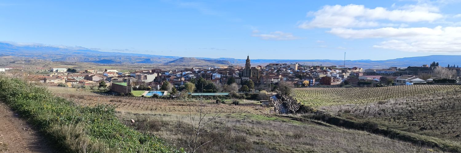 Alex🪑🍇🍇🪑👣 banner