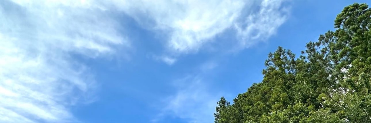 k99007135's profile banner image