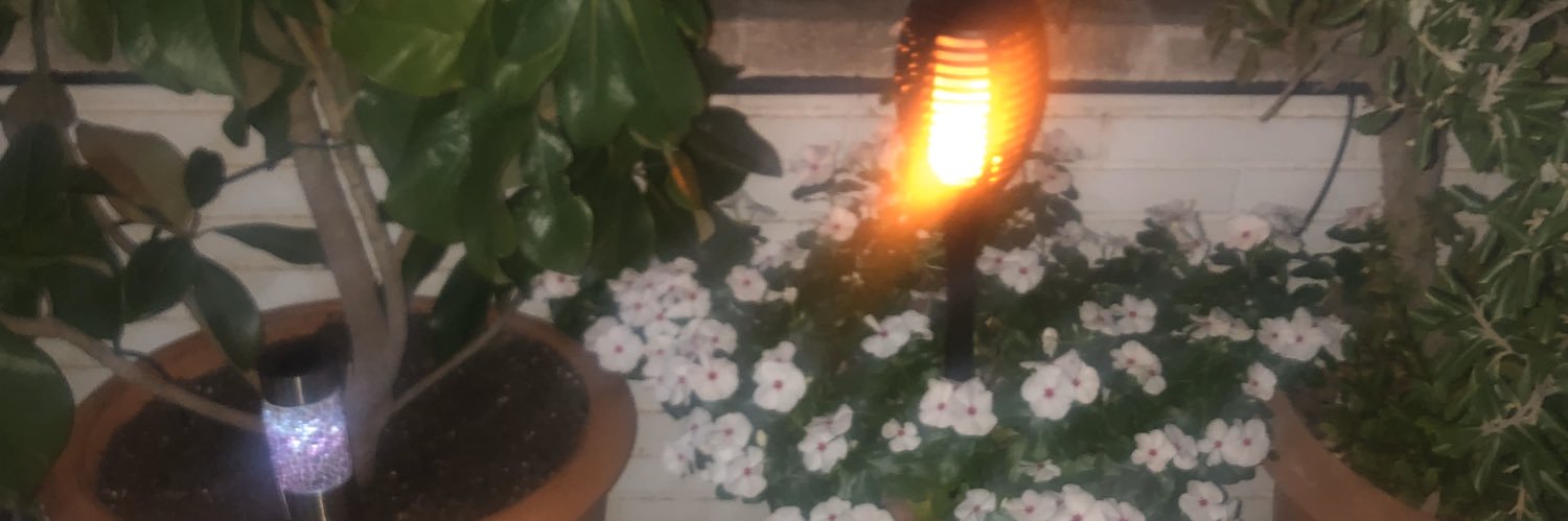 M. Carmen Vidal banner