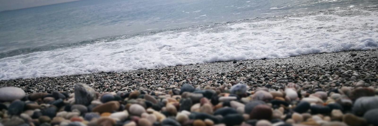 gül ✨ banner
