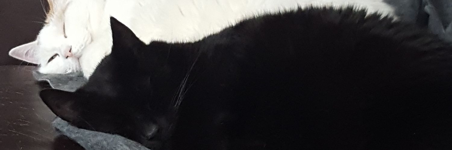 iam_kimz's profile banner image