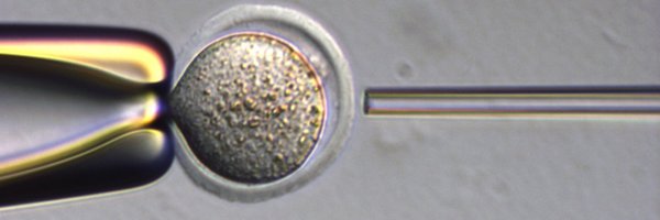 a_z_usa__ Profile Banner