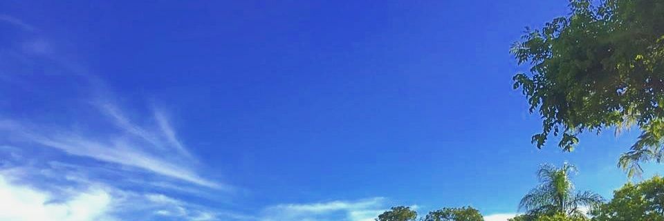 PedroBianchi201's profile banner image