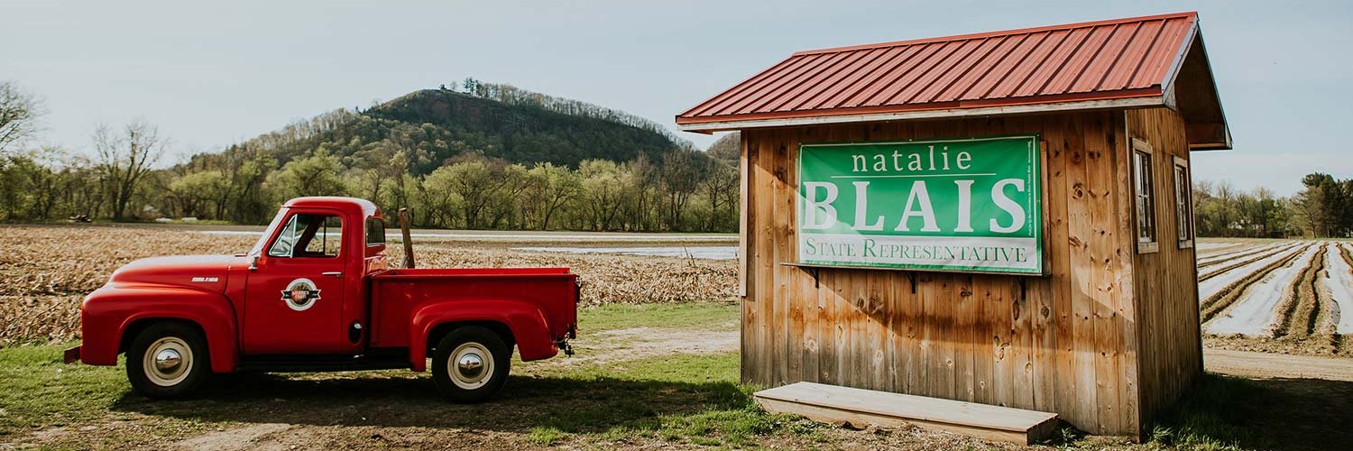 Re-Elect Natalie M. Blais, State Representative banner