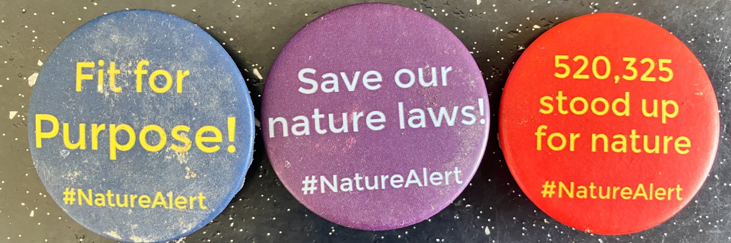 Oonagh Duggan banner