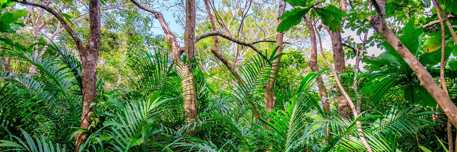 DeFi Apprentice banner