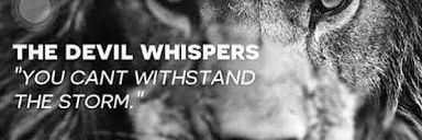 collinwaft's profile banner image