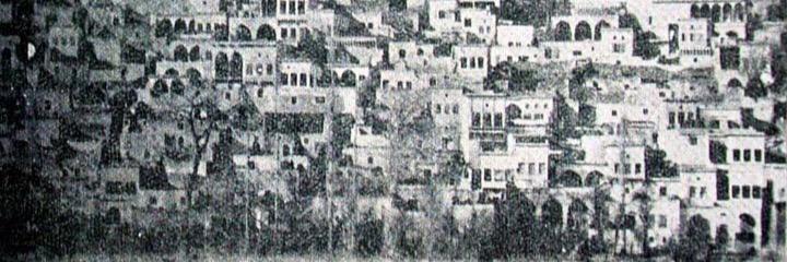 ayceozatalay's profile banner image