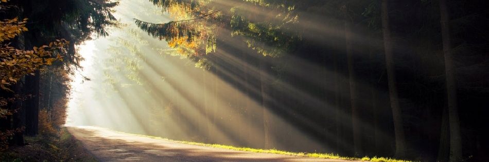 Altra_aroon's profile banner image