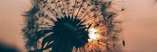 ahmararif's profile banner image