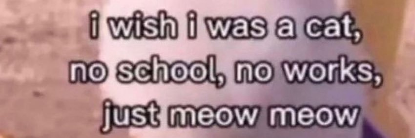 piwpiwpiw (slow) banner