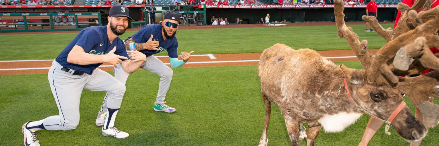 Monkey Jake ☀️ banner