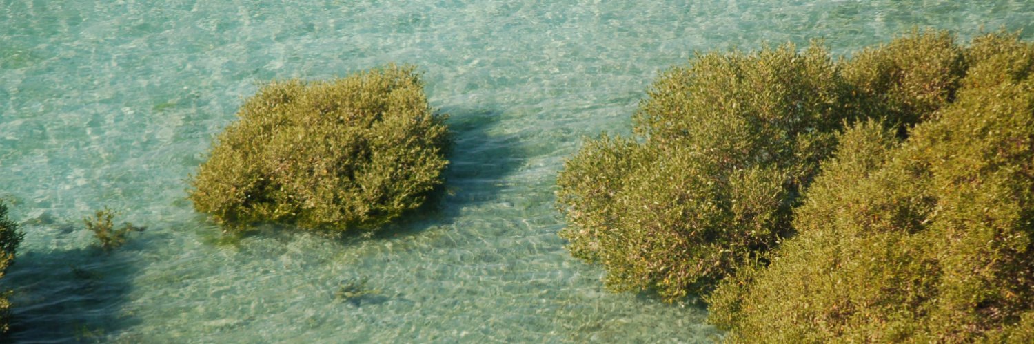 The Environment Agency - Abu Dhabi banner