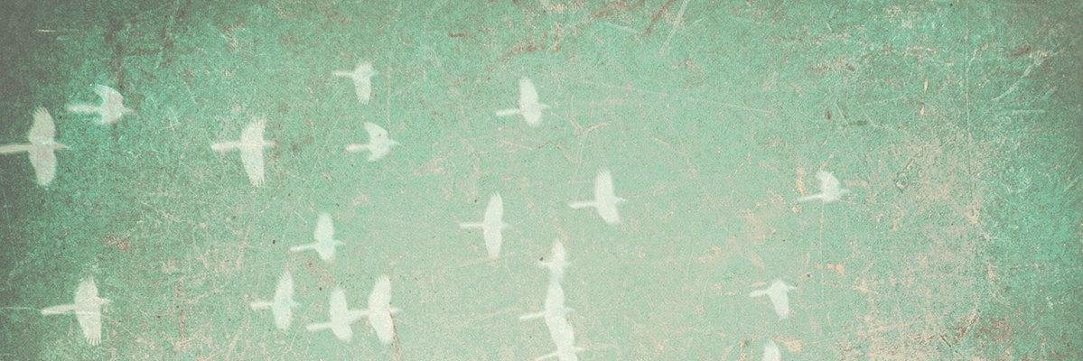 asakar_'s profile banner image
