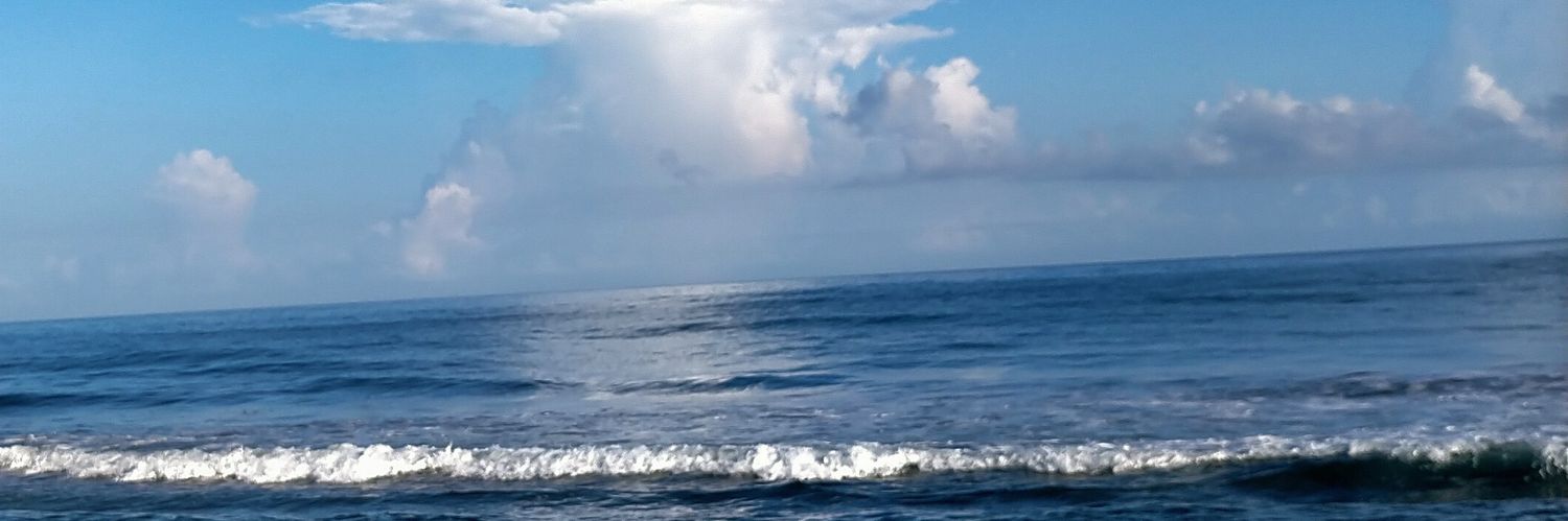anst1006's profile banner image