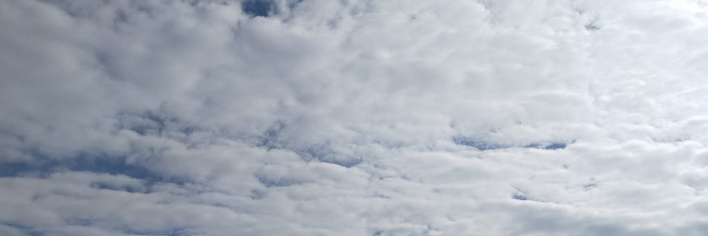 Q.Q.'s banner