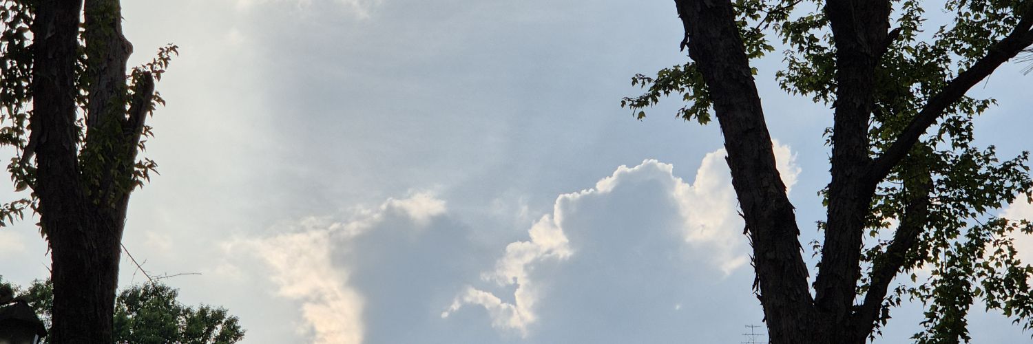 보석 공부중 돈돌맹's banner