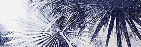 baswestinga5's profile banner image