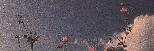 oceanceee's profile banner image