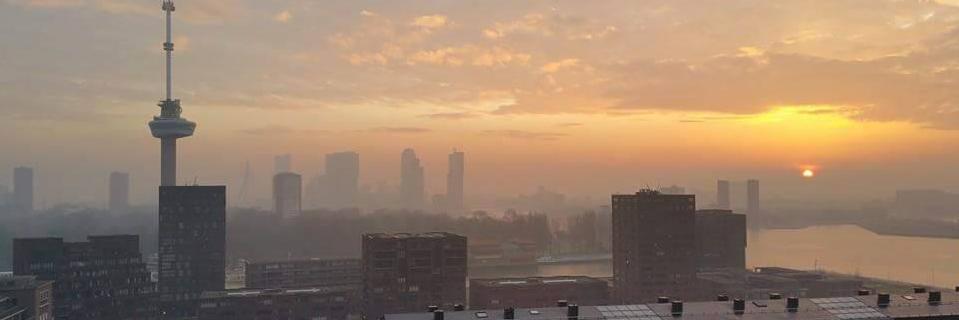 chrisdelduca's profile banner image