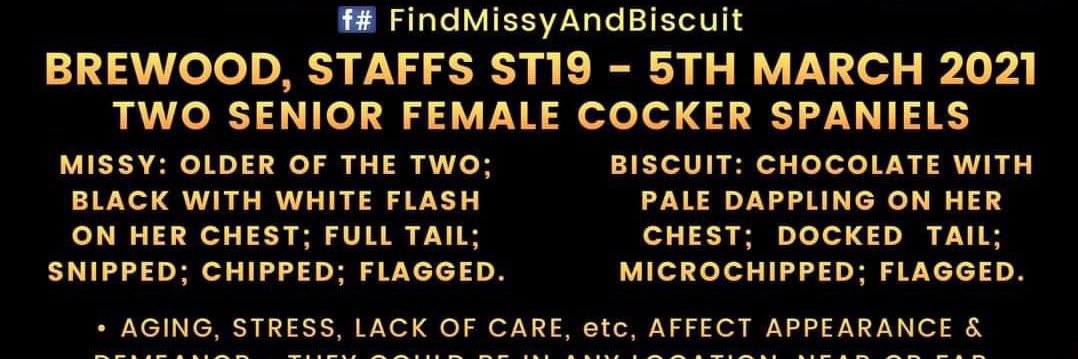 spaniel alert's banner