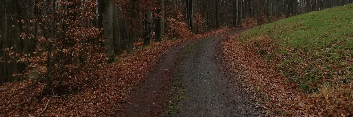 Physiklehrer banner