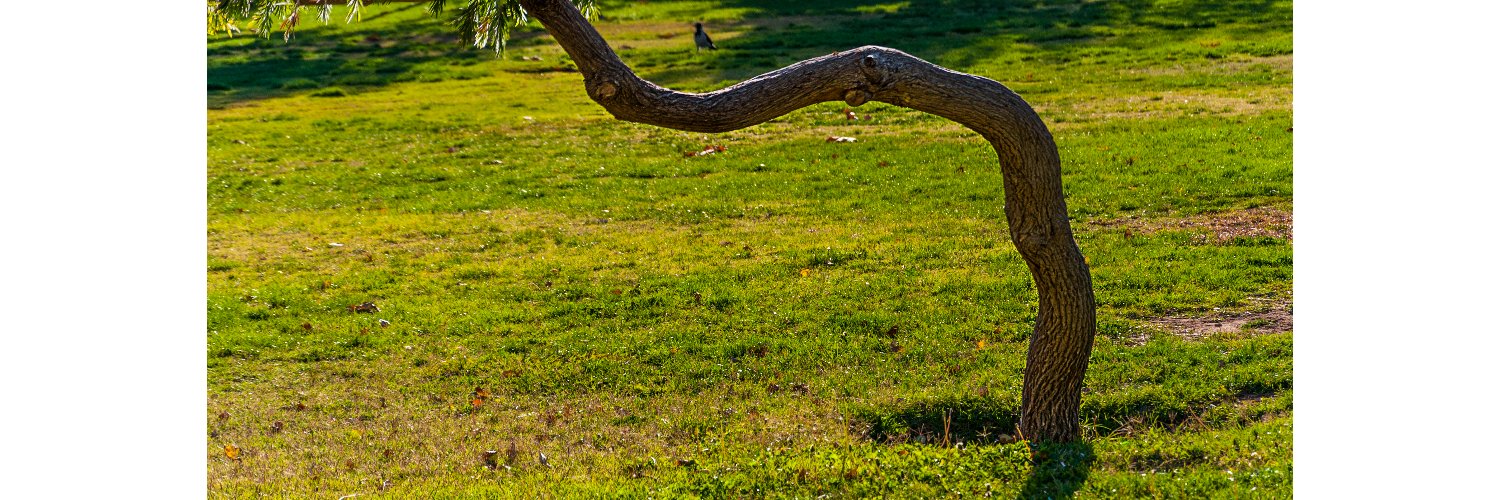 mehdi_taba's profile banner image