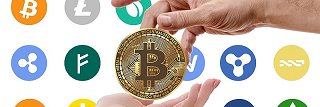 cryptoex365's profile banner image