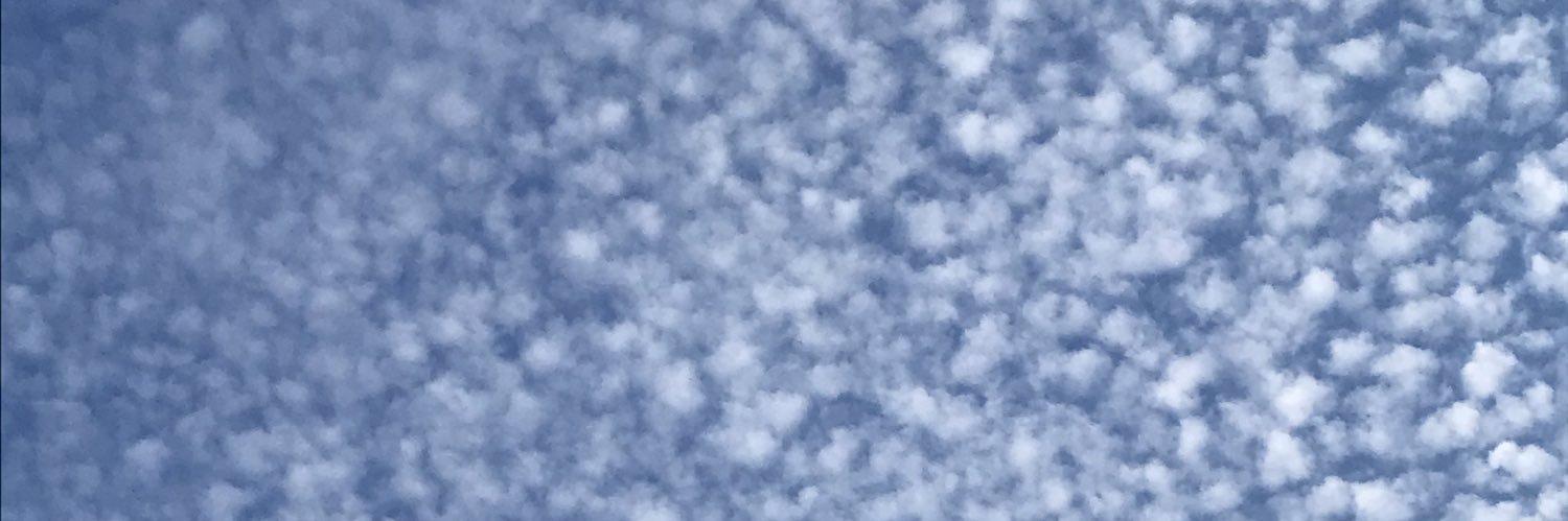 mari ninha banner