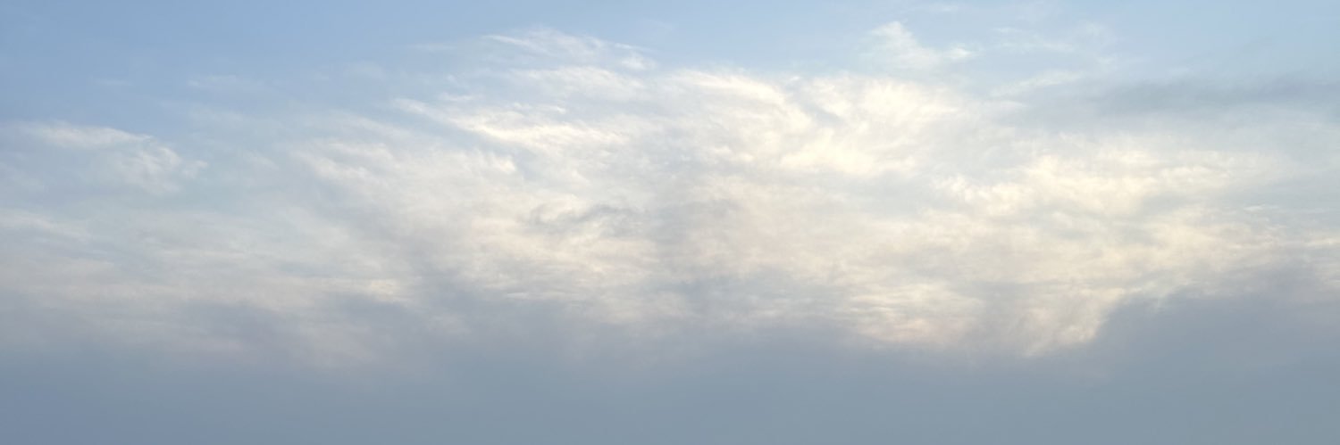 elifsimsekk34's profile banner image