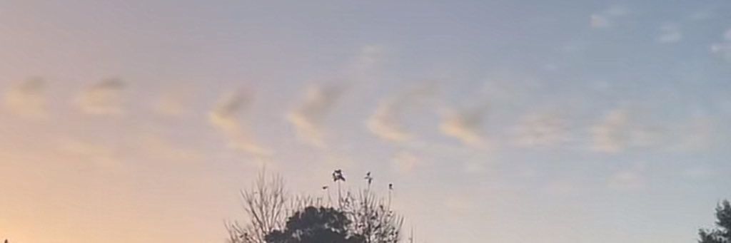 ab 🤯 ¹⁸⁹⁵ banner