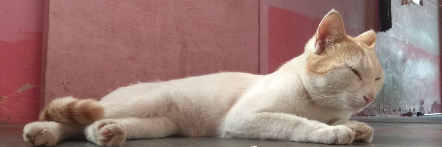ra_ku2020's profile banner image