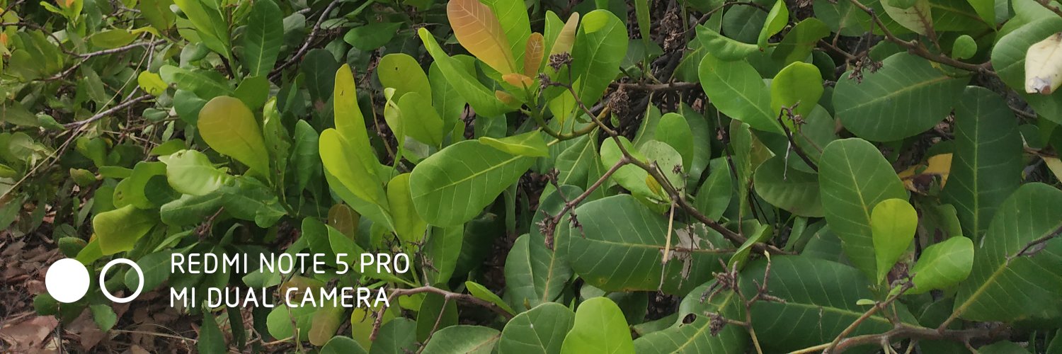 BathriNarayan16's profile banner image