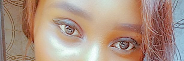EmechetaJulia's profile banner image