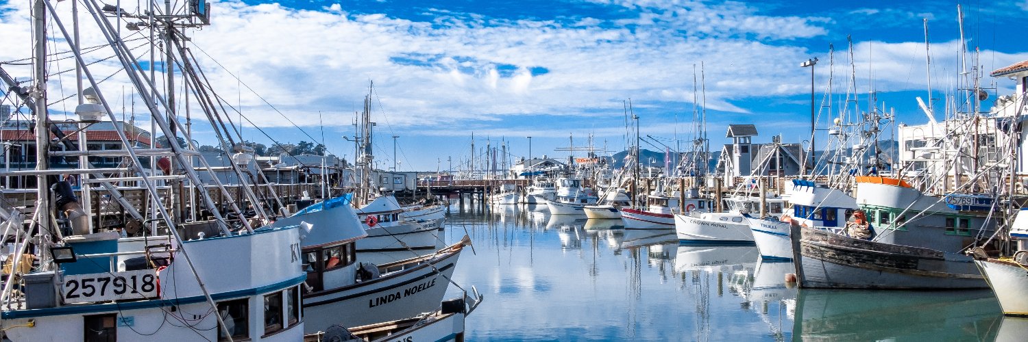 James Laird-Smith banner