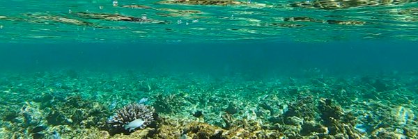 Marine_Science Profile Banner